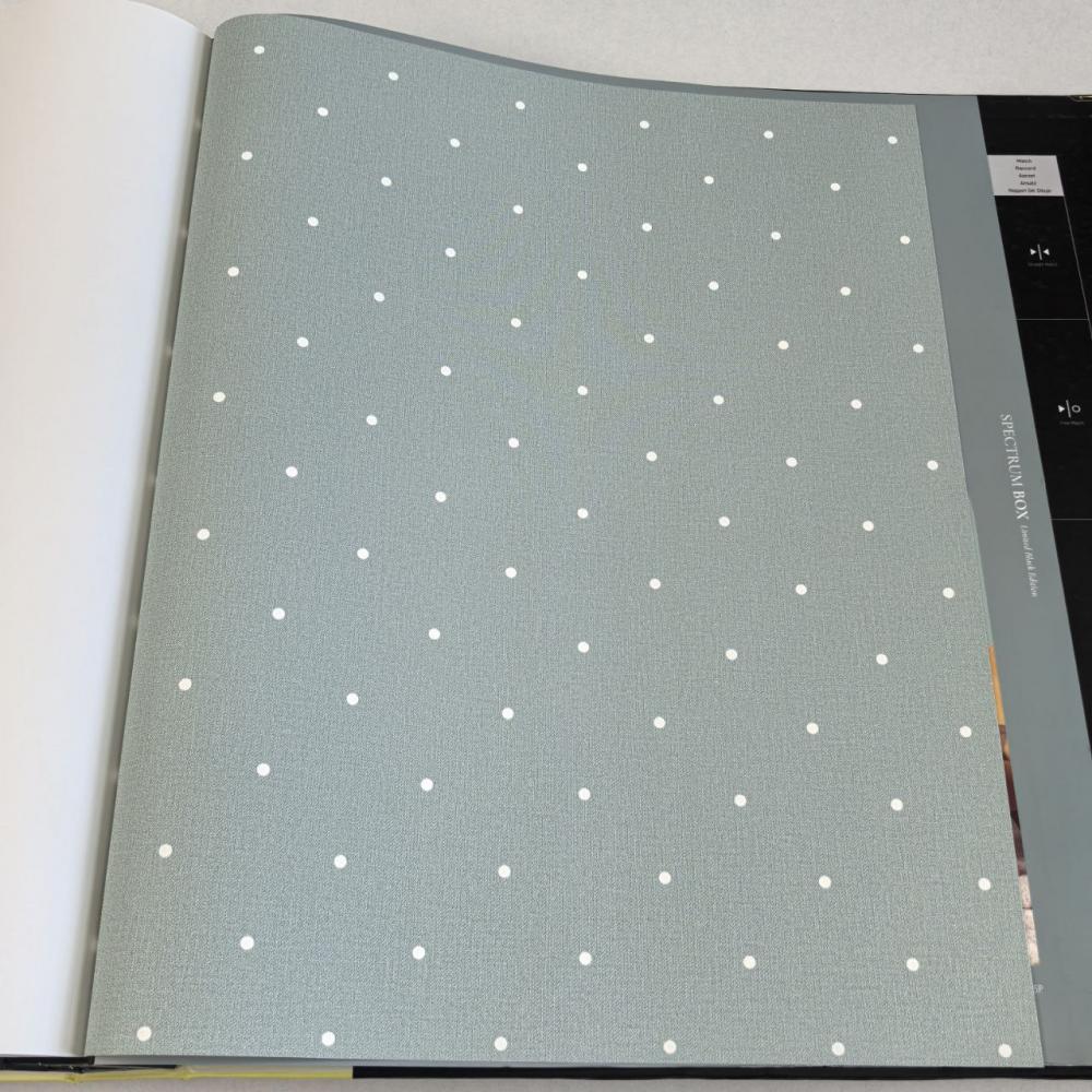 Andrea Rossi Spectrum Box 54454-17