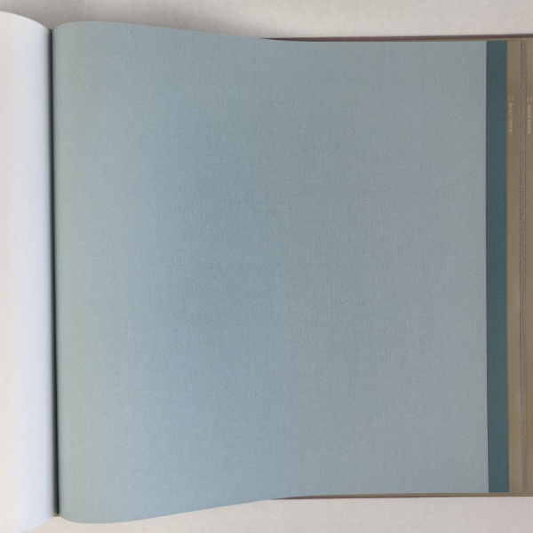 Alessandro Allori Bruni RBN 1004-13