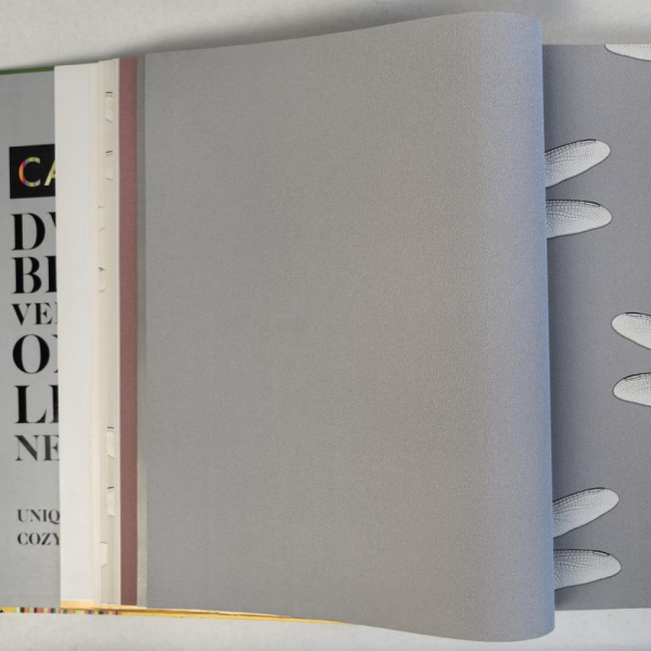 Andrea Rossi Cavolli 54424-12