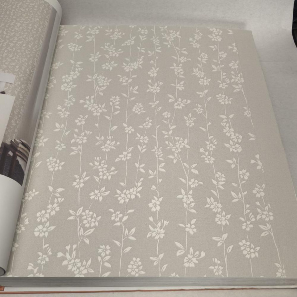 Andrea Rossi Berggi 54451-2