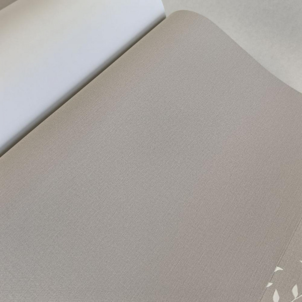 Andrea Rossi Spectrum Box 54455-5