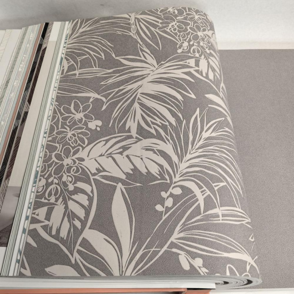 Andrea Rossi Berggi 54446-4